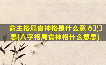 命主格局食神格是什么意 🦄 思(八字格局食神格什么意思)